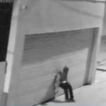 Conscience-Lacking Loser Burglarizes spcaLA Headquarters