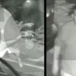 Monster Caught on Video Throwing Pit Bull off Cliff (The Dog Survived)