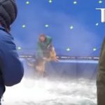 A Dog’s Purpose Is Not to Be Abused, So Boycott This Movie