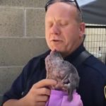 Firefighter Adopts Abandoned Pit Bull Puppy He Rescued