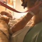 Awww: Wisconsin Tornado Survivor Reunited with Lost Dogs