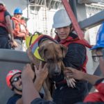 2 Women and Their Dogs Lost at Sea for 5 Months Rescued by Navy