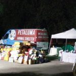 How to Help Pets Displaced by the Devastating Northern California Wildfires
