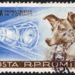 Laika, First Dog Astronaut, Made a One-Way Space Trip 60 Years Ago