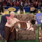 Show Dogs, Schmo Dogs: New ‘American Rescue Dog Show’ Features Prizeworthy Mutts