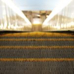 A Very Scary Reason Why You Shouldn’t Take Your Dog on an Escalator