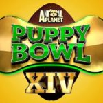 What to Watch on Super Bowl Weekend If You Love Dogs