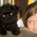 RIP Pickles: 5-Pound Dog Saves Family from Bear