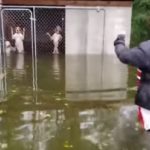 It’s Legal for US Evacuation Centers and Hotels to Ban Pets During a Disaster