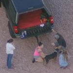 Dog Has New Home with Heroes Who Rescued Him from Arizona Freeway