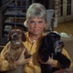 How to Honor the Legacy of the Amazing Doris Day