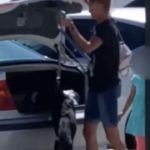 Florida Woman Arrested for Putting Unwanted Dog in the Trunk of Her Car