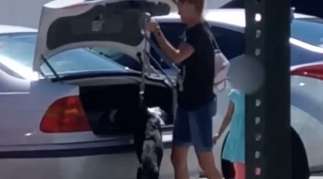 Florida woman arrested after putting dog in trunk of car