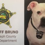 Shelter Dog Bruno Becomes Indiana’s First Law Enforcement Comfort Dog