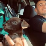 LAPD Adopts Puppy Found on a Busy Hollywood Street