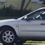 Doggie Donuts: Yet Another Reason Not to Leave Your Pet Alone in Your Car