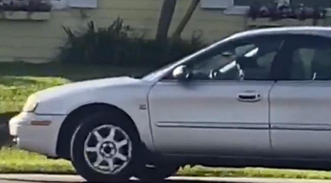 dog doing donuts alone in a car