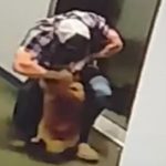 This Wasn’t the First Dog Rescued from an Elevator Tragedy