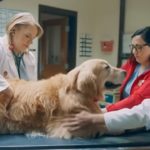 Grateful Dog Dad Buys Super Bowl Ad Praising UW Veterinary School