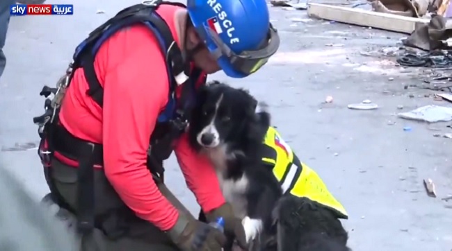 Border Collie leads rescuers to possible survivor 30 days after Beirut explosion