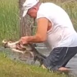 Watch (If You Can) an Elderly Florida Man Pry His Dog from an Alligator