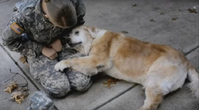 veteran reunites with dog