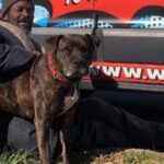 Hero Homeless Man Rescues All Pets from Burning Animal Shelter