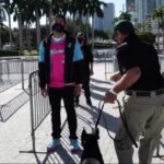 COVID Detection Dogs Will Check Miami Heat Fans
