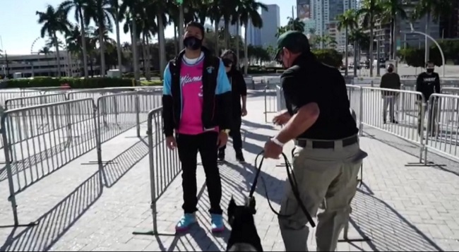 Miami Heat using COVID-19 detection dogs