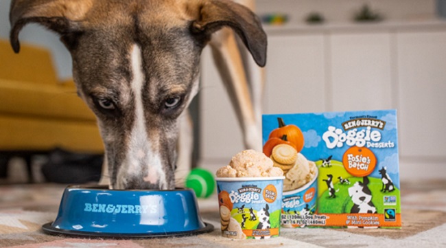 Ben & Jerry's Doggie Desserts