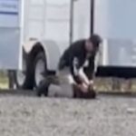 Vacaville Police Defend Officer Punching Police Dog in Viral Video