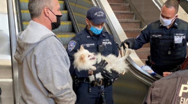 dog rescued after his paw got stuck in a New Jersey PATH station escalator