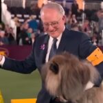 Mop Wins Best in Show at Westminster Dog Show