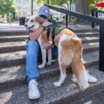 PAWS Act Becomes Law Not a Moment Too Soon