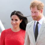 Prince Harry and Meghan Adopt Beagle Rescued from Breeding Facility