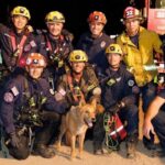Senior Blind Dog Rescued from 15-Foot Deep Hole
