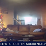 Cookie-Seeking Dog Sets Kitchen on Fire