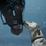 Puppy Bowl XX vs Super Bowl LVIII: Viewing Guide for Dog Lovers
