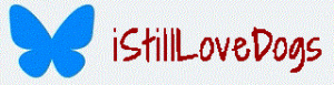 Follow iStillLoveDogs on Bluesky! @istilllovedogs.bsky.social